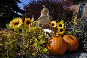 Decorar la casa en Halloween