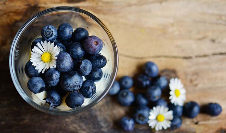 Morán Berries: el arándano ecológico  de Asturias