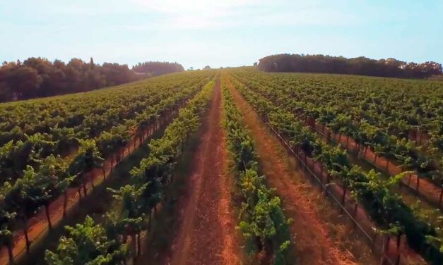 Bodegas en Cataluña